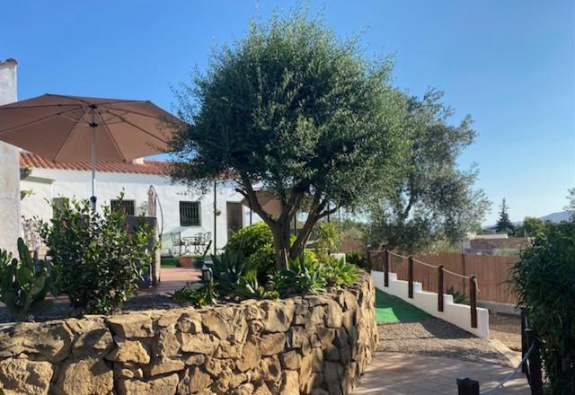 La Casa Palmera - Caminito Del Rey Pizarra Zewnętrze zdjęcie