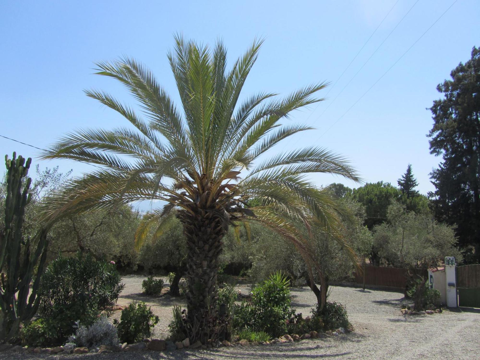 La Casa Palmera - Caminito Del Rey Pizarra Zewnętrze zdjęcie